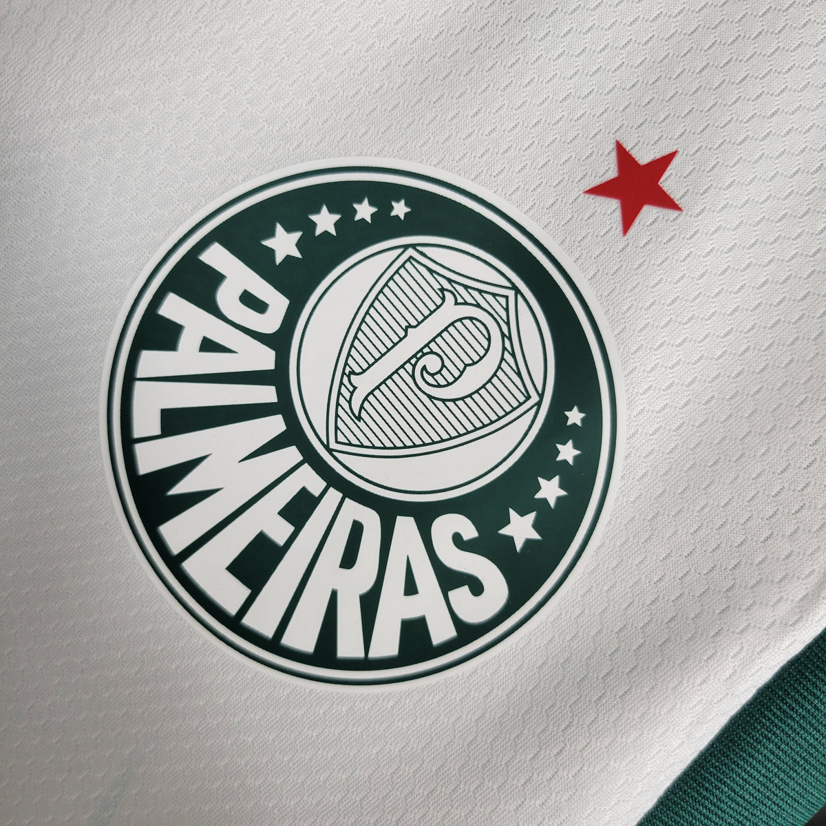Palmeiras Entraînement 23/24 - Manches Cava - Porté