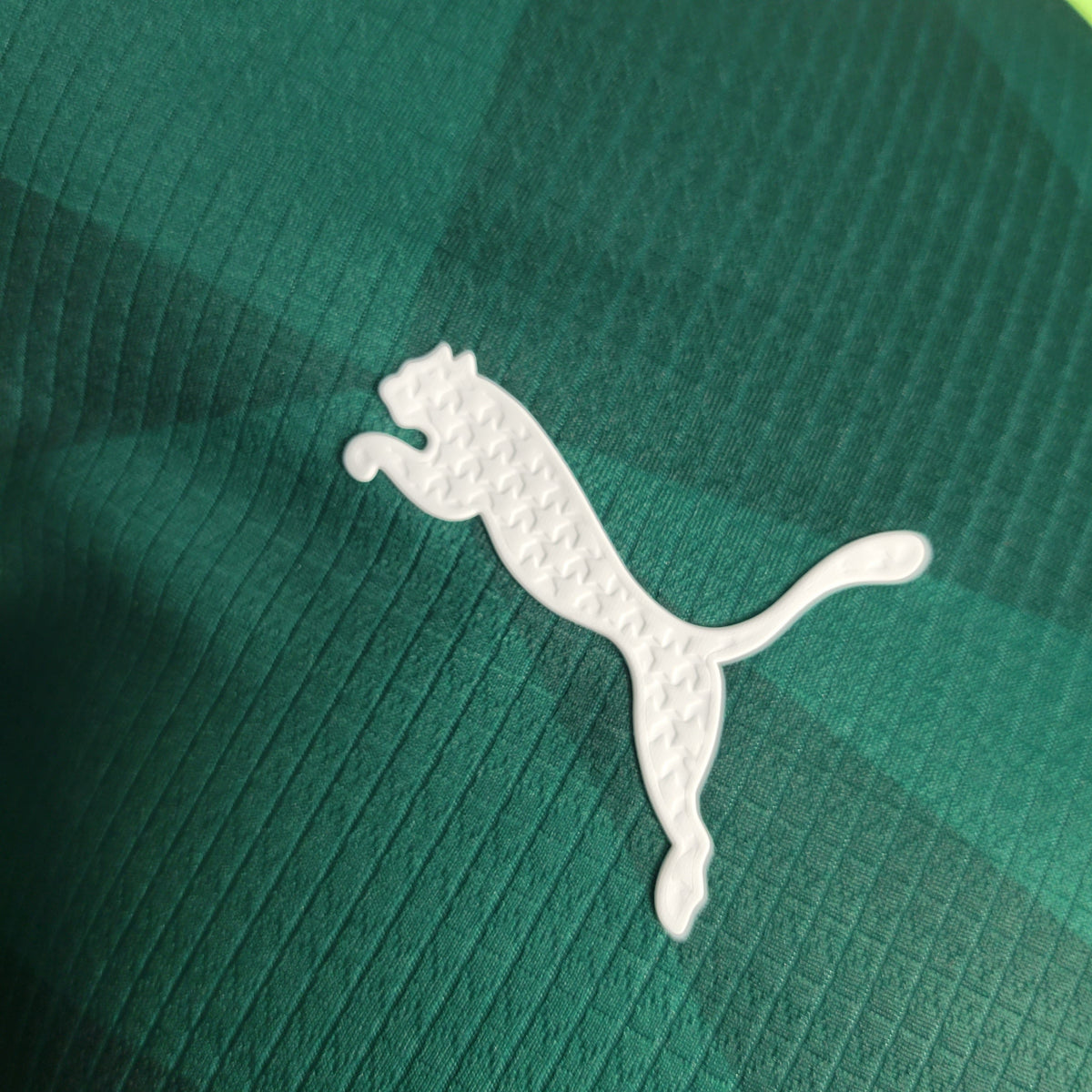 Palmeiras Domicile 23/24 - Porté